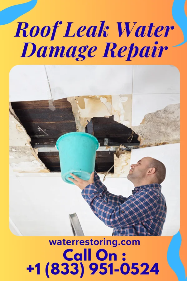 Roof Leak Water Damage Repair in Sweet Home, OR